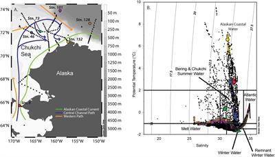 Nitrogen Limitation of the Summer Phytoplankton and Heterotrophic Prokaryote Communities in the Chukchi Sea